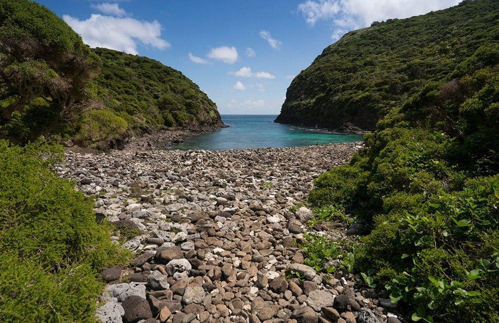 Arajilla Retreat Villa Lord Howe Island Exteriör bild