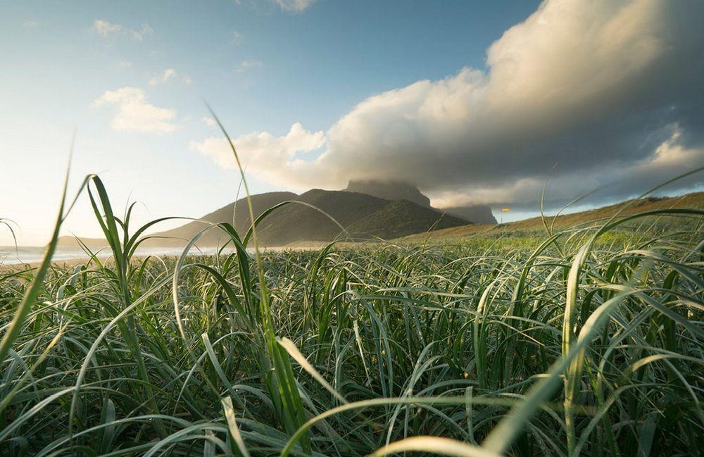 Arajilla Retreat Villa Lord Howe Island Exteriör bild