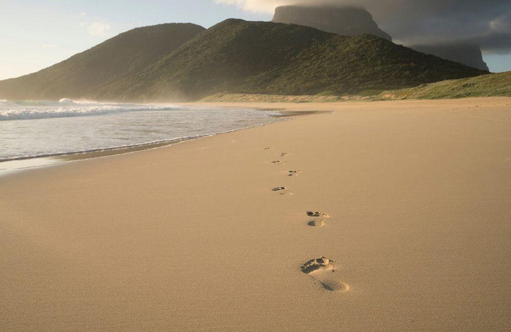 Arajilla Retreat Villa Lord Howe Island Exteriör bild