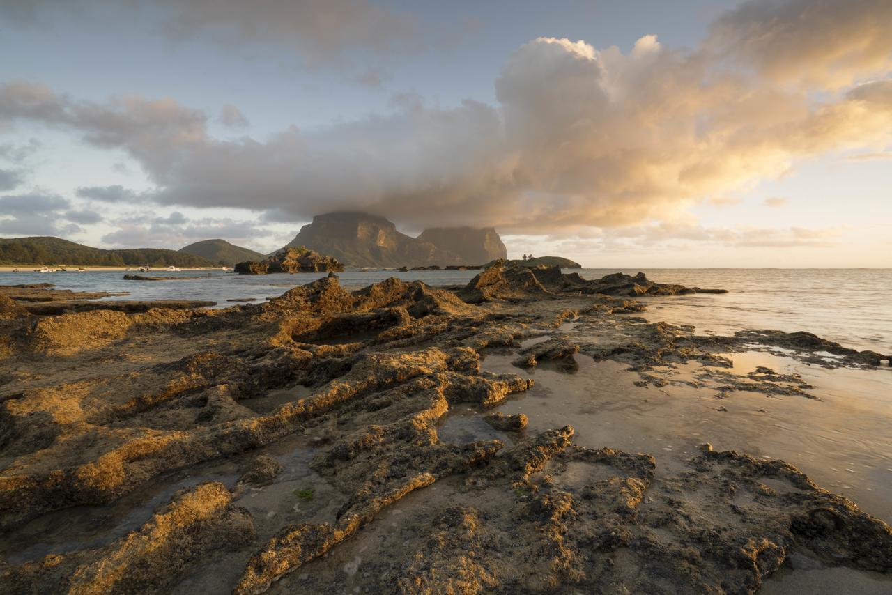 Arajilla Retreat Villa Lord Howe Island Exteriör bild