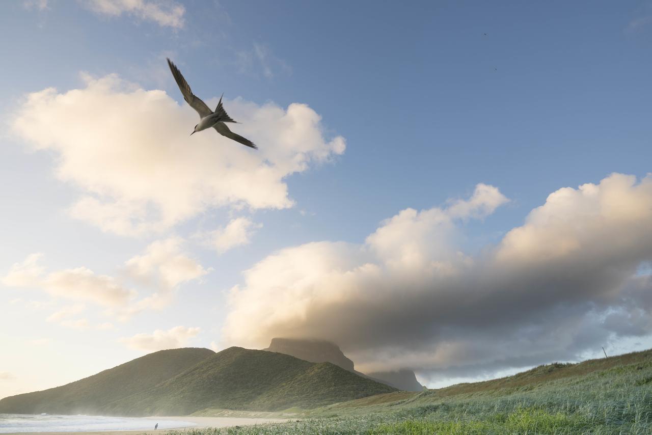 Arajilla Retreat Villa Lord Howe Island Exteriör bild